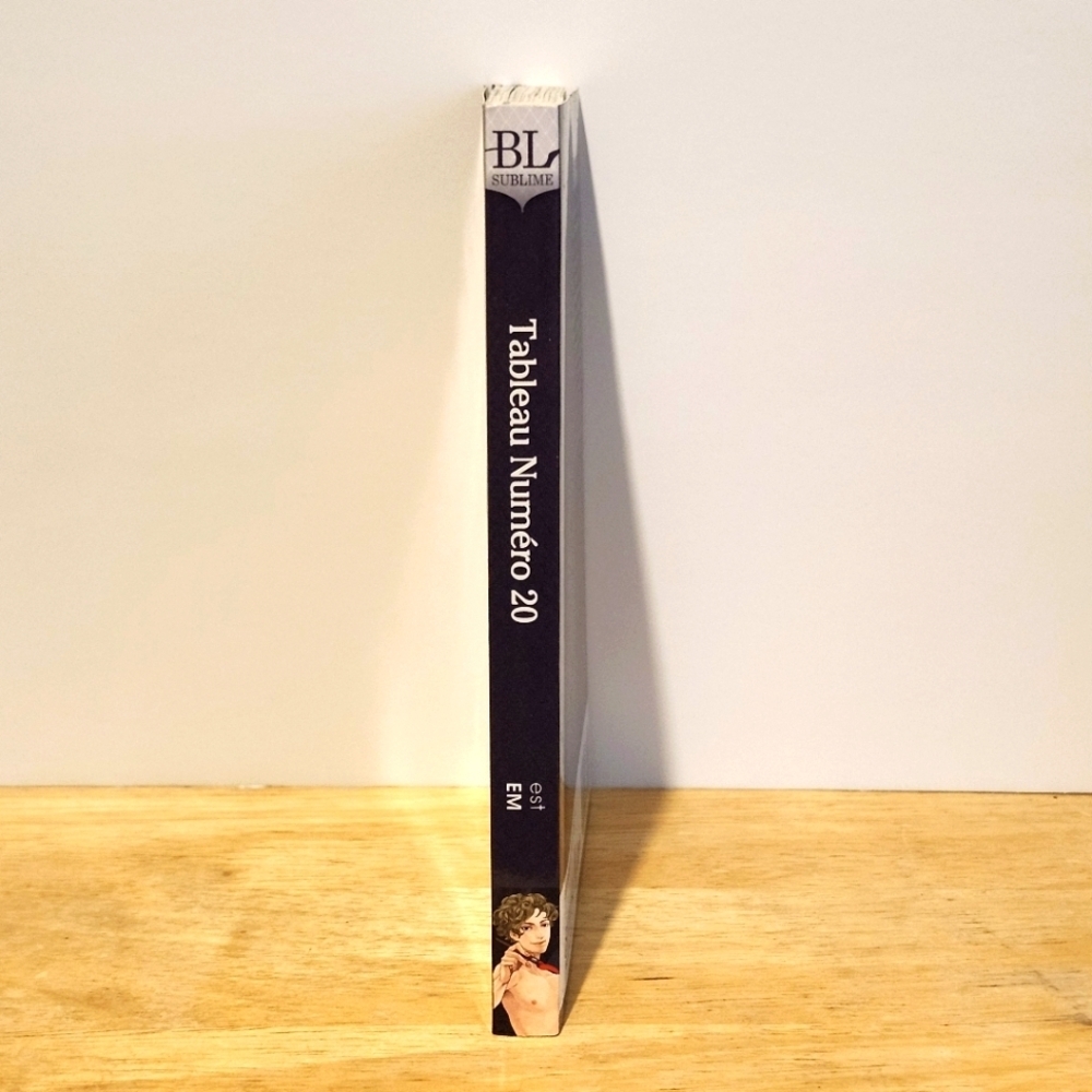 *3 for $30* Tableau Numéro 20 Manga - BL Yaoi (complete) - Books